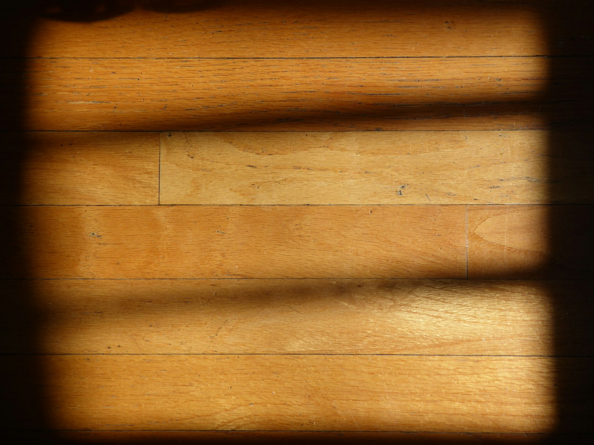 A cat sitting on a wooden floor next to a window
